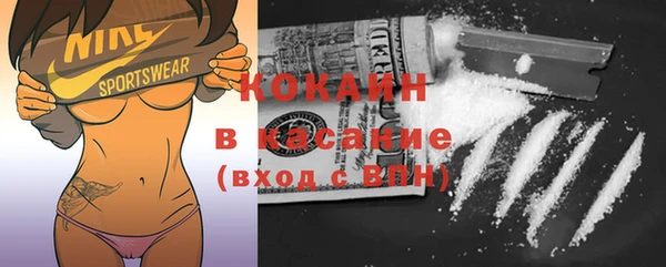 прущие грибы Аркадак