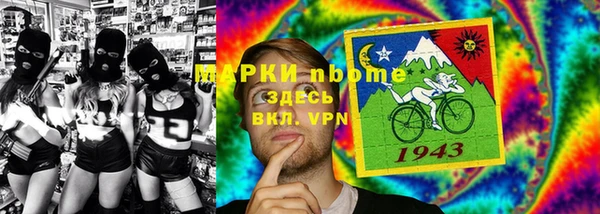 прущие грибы Аркадак