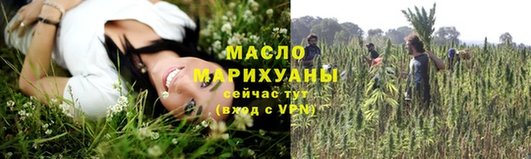 прущие грибы Аркадак