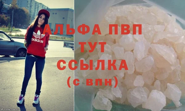 прущие грибы Аркадак