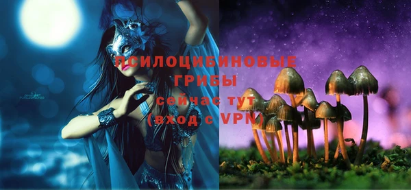 прущие грибы Аркадак